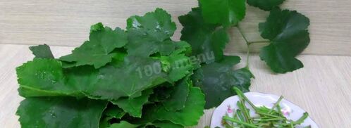 прохладительный напиток из виноградных листьев. Шаг 2