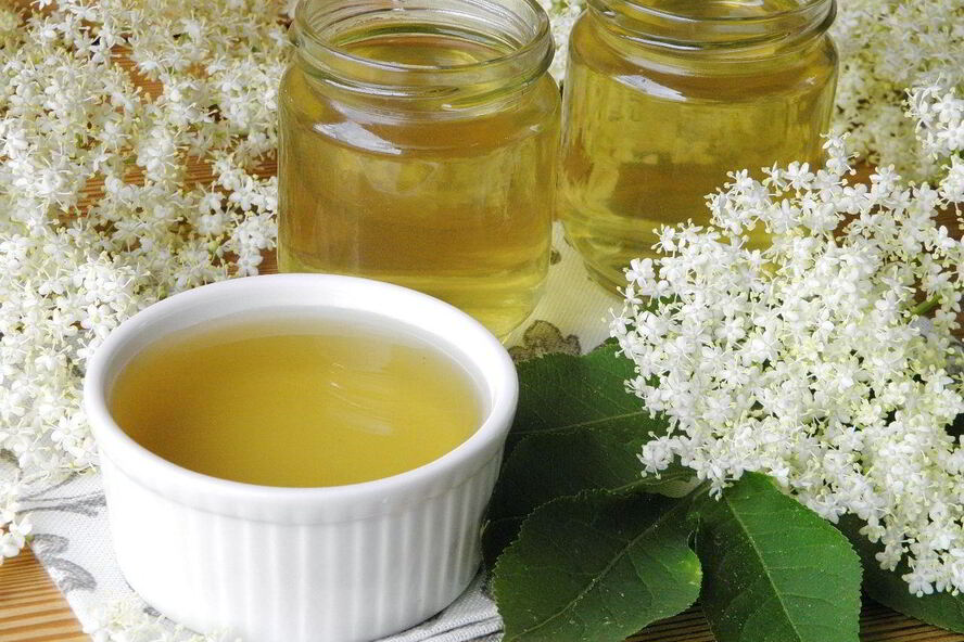 Рецепт сироп из бузины