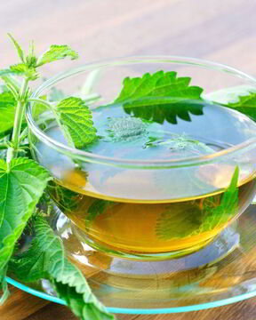 Сироп из крапивы