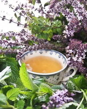 Сироп шалфея