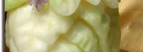 смузи магический цветок. Шаг 2