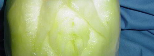 смузи магический цветок. Шаг 10