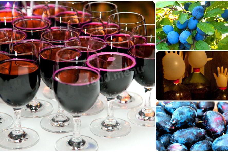 Рецепт вино из сливы с сахаром