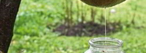 вино из яблок без дрожжей. Шаг 3