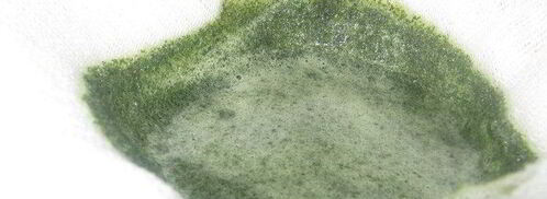 зеленый мятный сироп. Шаг 5