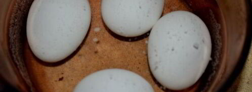 салат картофельный с релиш-соусом. Шаг 2