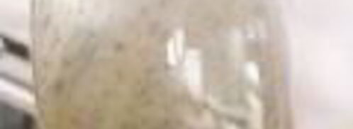 салат из клубники, огурцов и авокадо. Шаг 3