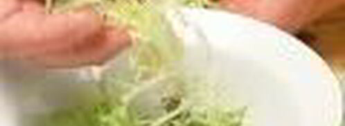 салат из креветок с дыней и авокадо. Шаг 3