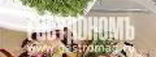 салат из квашеной капусты со свеклой. Шаг 3