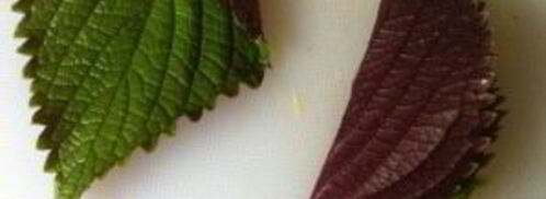 салат из манго и креветок. Шаг 3