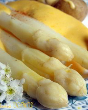 Голландский соус к спарже, совет по варке спаржи