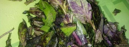 соус из базилика и рукколы. Шаг 3