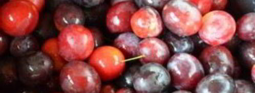 ткемали. Шаг 2