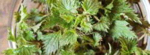 борщ с крапивой. Шаг 5