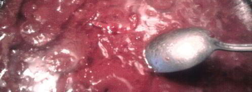 борщ в горшочках. Шаг 4