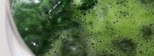 крем-суп из шпината. Шаг 4