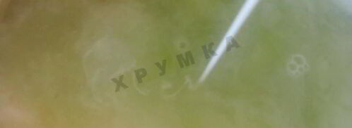 овощной крем суп со сливками. Шаг 8