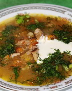 Кислые щи из квашеной капусты с грибами