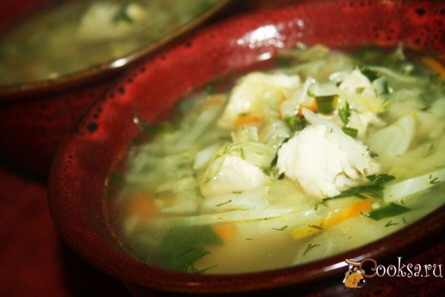 Рецепт простые щи со свининой и свежей капустой