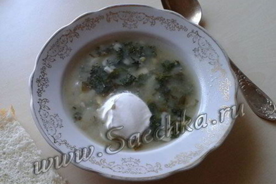 Рецепт щи из крапивы