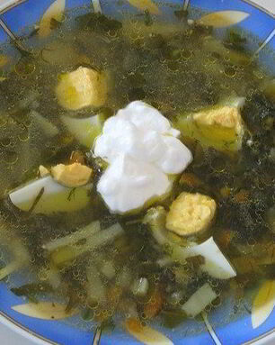 Щи из щавеля на курином бульоне