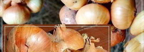 щи кислые с уткой. Шаг 6