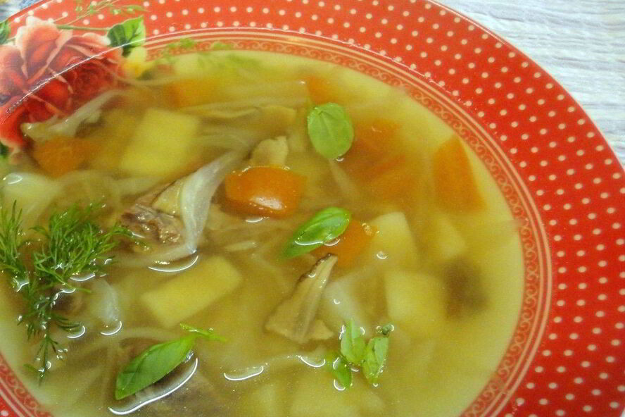 Рецепт щи на говяжьем бульоне