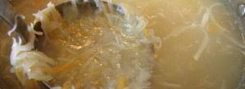 щи суточные из квашеной капусты. Шаг 6