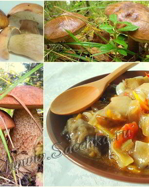 Грибная солянка