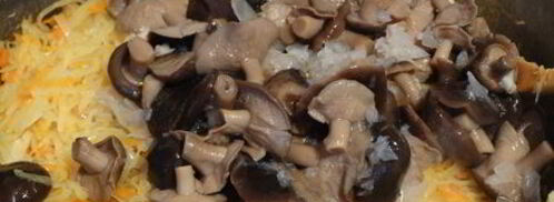 солянка из квашенной капусты с грибами. Шаг 10