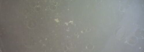 харчо из курицы. Шаг 5