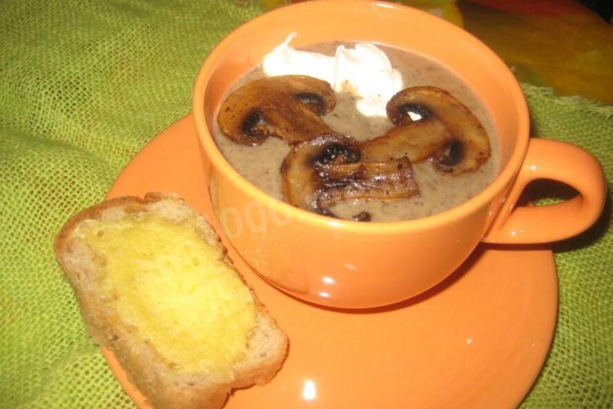 Рецепт грибной суп-пюре на молоке из свежих грибов