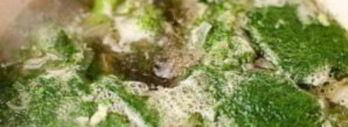 суп-пюре из брокколи без картофеля. Шаг 3