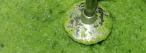 суп-пюре из брокколи и кабачков. Шаг 8