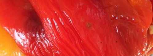 суп-пюре из запеченных перцев с апельсиновым соком. Шаг 2