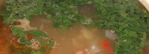 суп рисовый с фасолью. Шаг 4