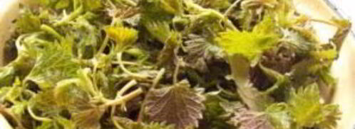 суп с крапивой и яйцом. Шаг 4