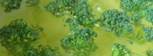 сырный суп с шампиньонами и брокколи. Шаг 3