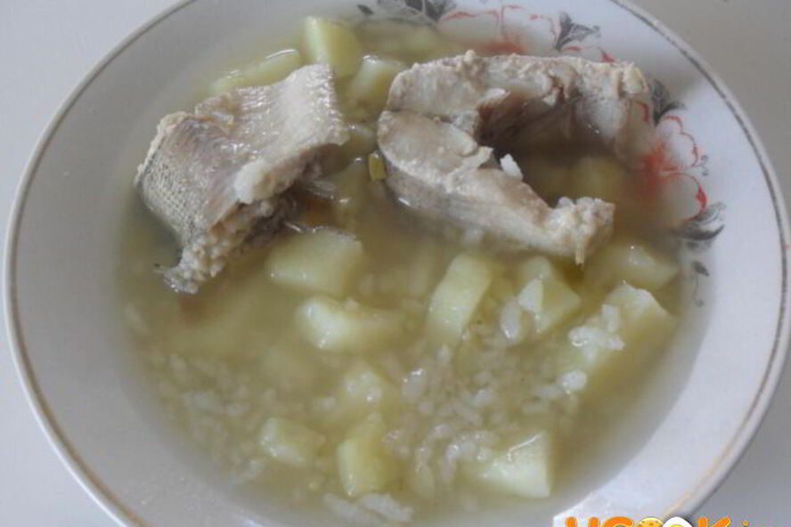 Рецепт уха из щуки