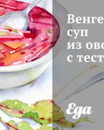 Венгерский суп из овощей с тестом