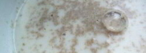 пышные блины на дрожжах. Шаг 2