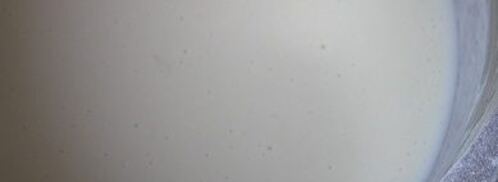 тонкие блинчики на сыворотке. Шаг 4