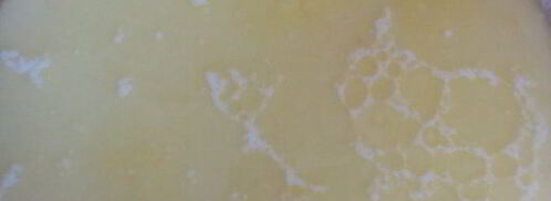 булочки дома паркеров. Шаг 3