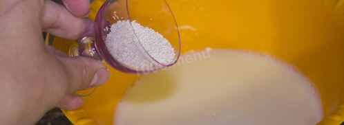 плюшки с сахаром из дрожжевого теста. Шаг 3