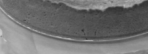 творожный чизкейк с абрикосами. Шаг 9