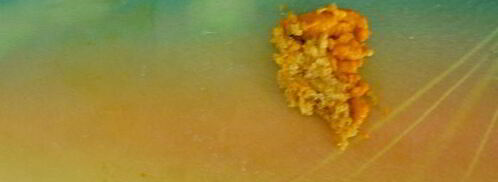 симнель — английский пасхальный кекс. Шаг 3