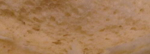 белый хлеб на молочной сыворотке. Шаг 8