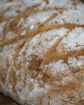 Кабачково-огуречный хлебушек с рисовой мукой