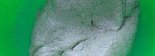 хлеб с морковью. Шаг 3