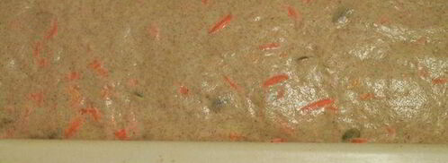 хлеб с морковью. Шаг 9